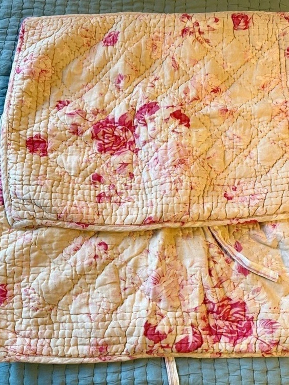 Pottery Barn Manchester Rose set/2 Standard Quilted Shams